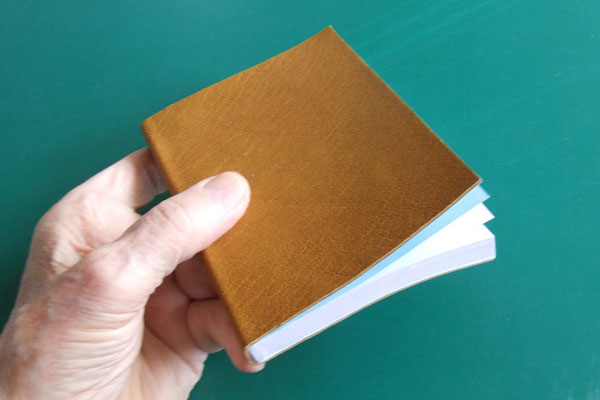 A simple leather covered journal