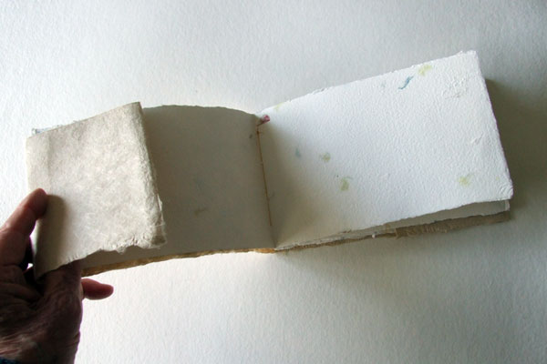 Internal flap of a Linnaeus Book