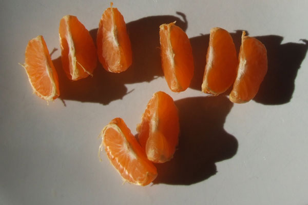 Some segments of a clementine