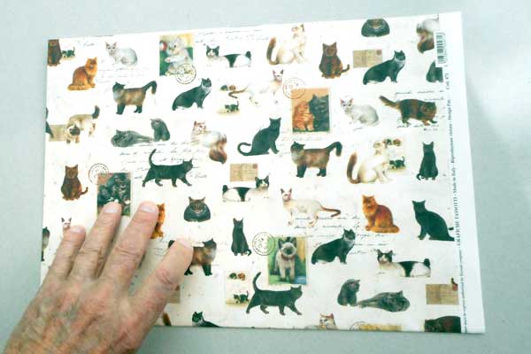 'Cats' ~ a printed paper by Tassotti