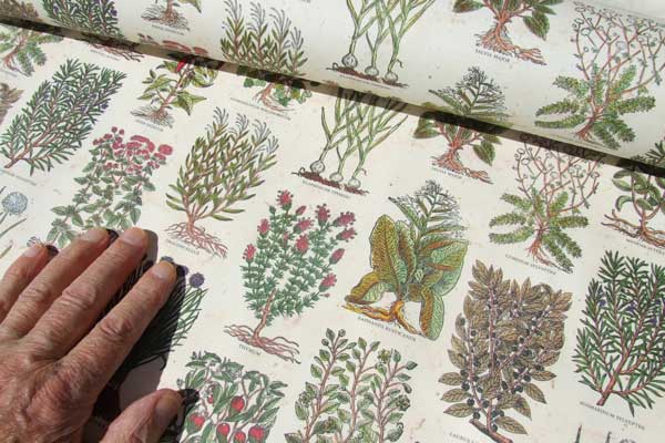 Paper printed with a selection of mixed herb plants ~ click picture for details