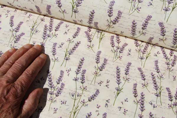 Sprigs of lavender ~ click picture for details