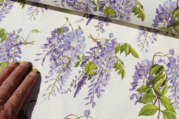 Picture of 'Wisteria' paper by Tassotti