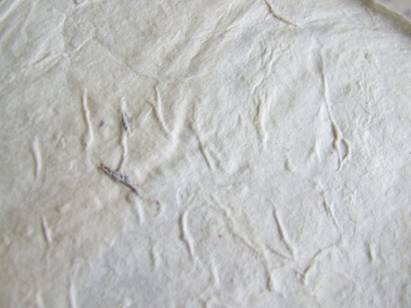 The rough surface of lokta paper