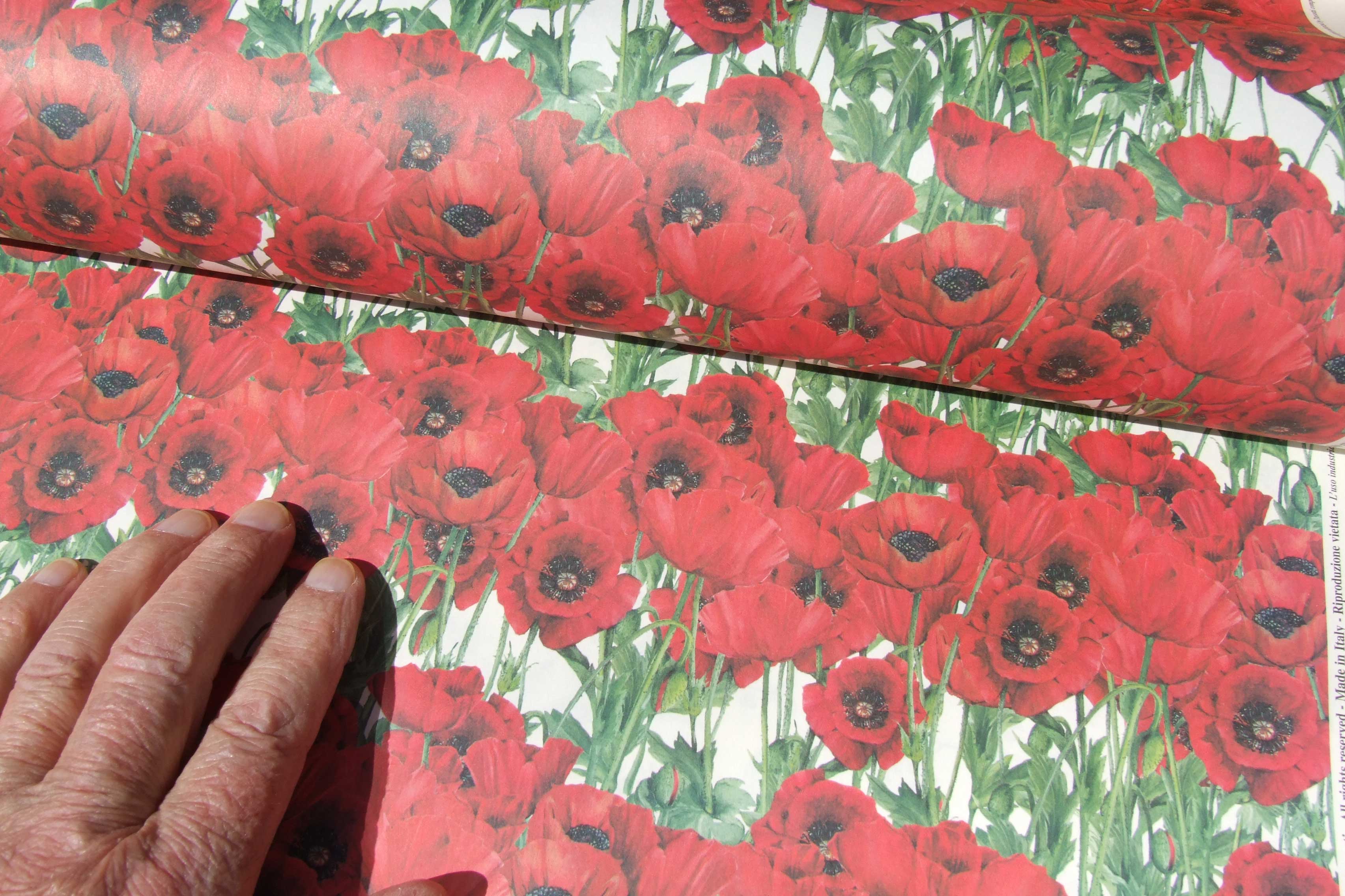Picture of Poppies ~ printed paper by Tassotti