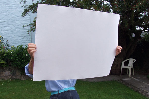 A sheet of Imperial Size paper