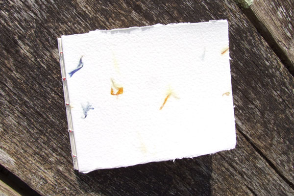 A Cheng Book with petal embedded covers