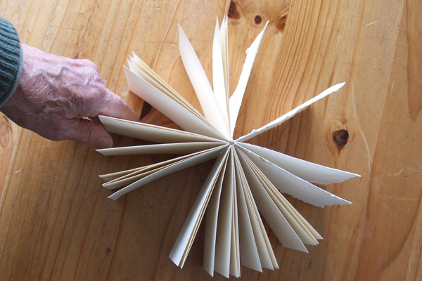 Fanned out Cheng Book