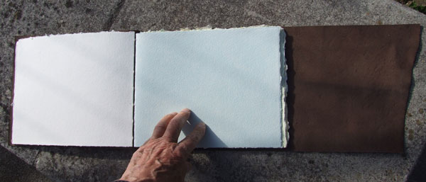 Lightly tinted pages feature in the book