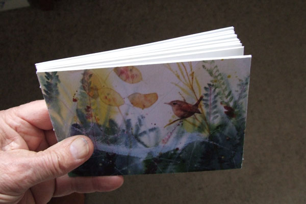 Top view of Jenner Book