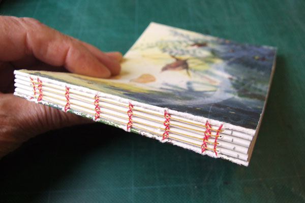 Spine view of Jenner Book