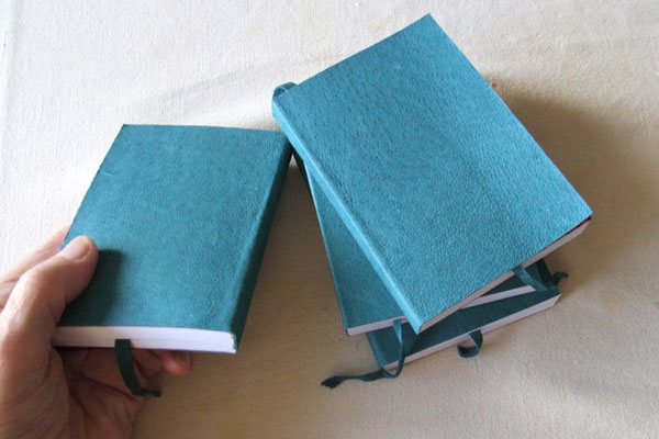 Finished leather covered diaries