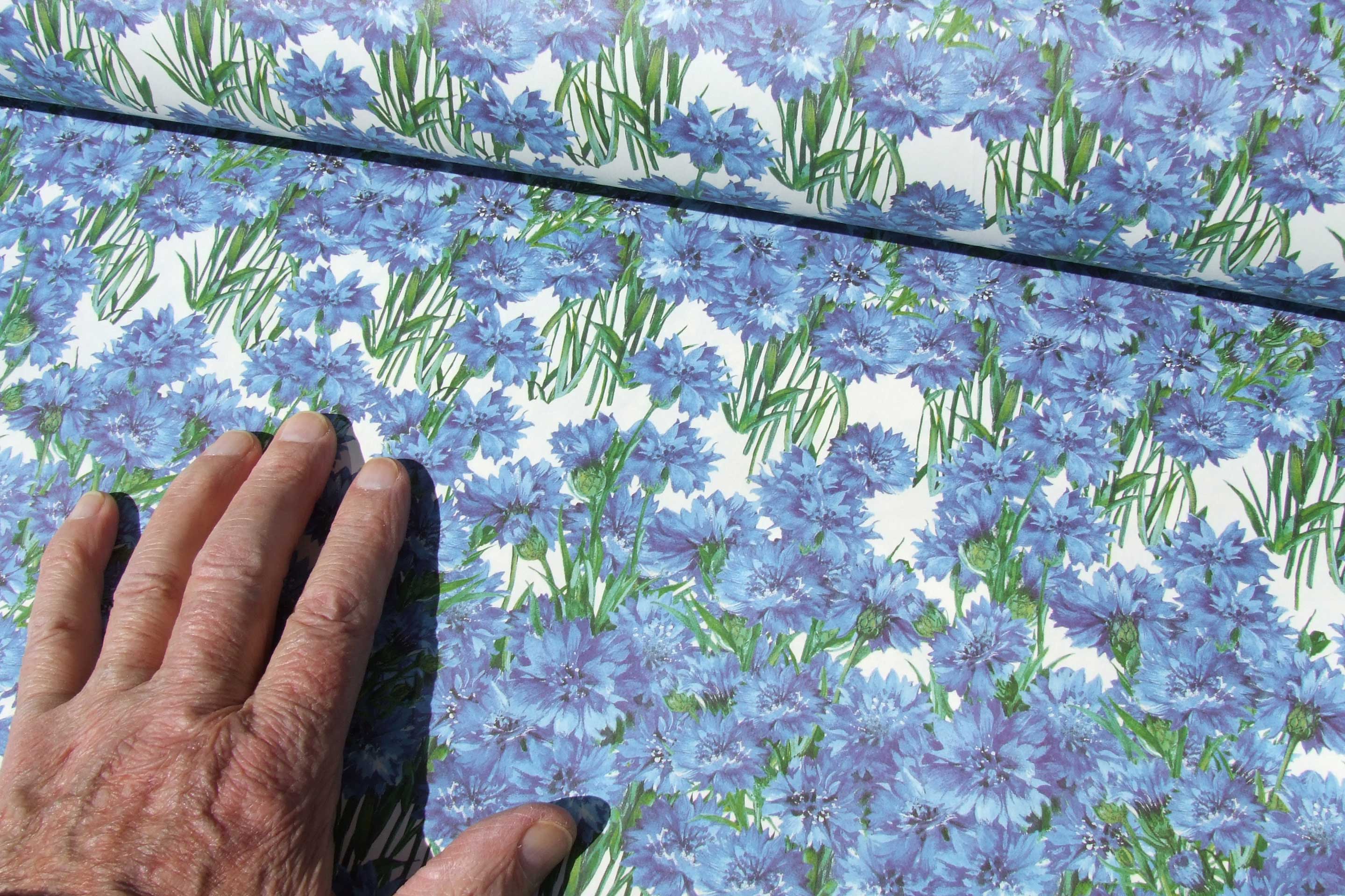 Picture of 'Cornflowers' paper by Tassotti