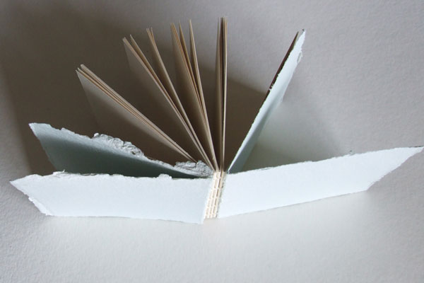 Cheng Books open easily and layflat