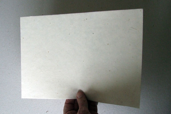 A sheet of lokta paper