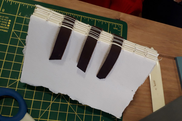 Leather strips in bookbinding use