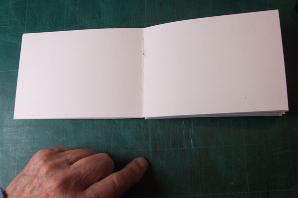 An open Jenner Book