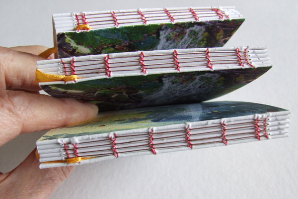 Spine view of Jenner Book